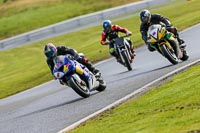 Oulton-Park-14th-March-2020;PJ-Motorsport-Photography-2020;anglesey;brands-hatch;cadwell-park;croft;donington-park;enduro-digital-images;event-digital-images;eventdigitalimages;mallory;no-limits;oulton-park;peter-wileman-photography;racing-digital-images;silverstone;snetterton;trackday-digital-images;trackday-photos;vmcc-banbury-run;welsh-2-day-enduro